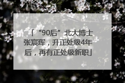 “90后”北大博士张宸珲，升正处级4年后，再有正处级新职
