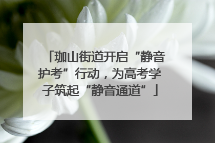 珈山街道开启“静音护考”行动，为高考学子筑起“静音通道”