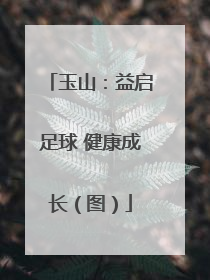 玉山：益启足球 健康成长（图）