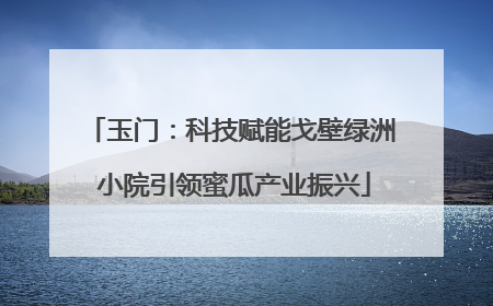 玉门：科技赋能戈壁绿洲 小院引领蜜瓜产业振兴