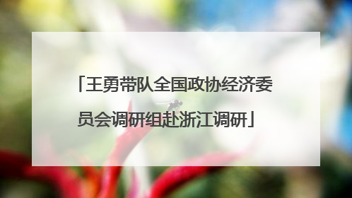 王勇带队全国政协经济委员会调研组赴浙江调研