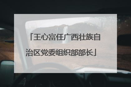 王心富任广西壮族自治区党委组织部部长