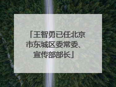 王智勇已任北京市东城区委常委、宣传部部长