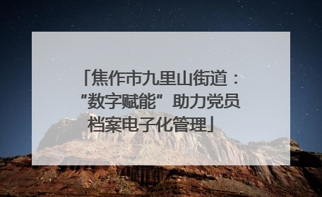 焦作市九里山街道：“数字赋能”助力党员档案电子化管理
