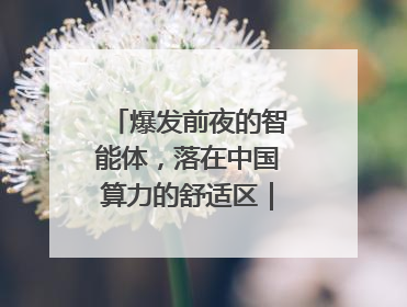 爆发前夜的智能体，落在中国算力的舒适区｜海斌访谈