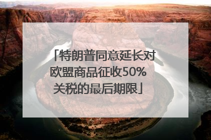 特朗普同意延长对欧盟商品征收50%关税的最后期限