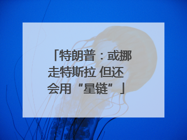 特朗普：或挪走特斯拉 但还会用“星链”