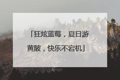 狂炫蓝莓，夏日游黄陂，快乐不宕机