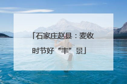 石家庄赵县：麦收时节好“丰”景