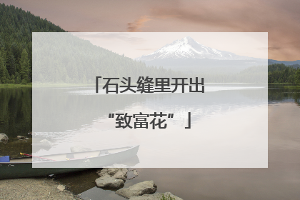 石头缝里开出“致富花”