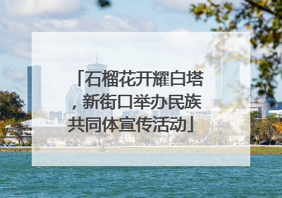 石榴花开耀白塔，新街口举办民族共同体宣传活动