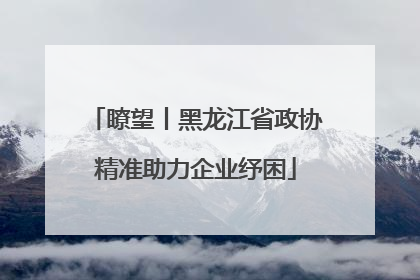 瞭望丨黑龙江省政协精准助力企业纾困