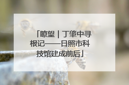 瞭望｜丁肇中寻根记——日照市科技馆建成前后