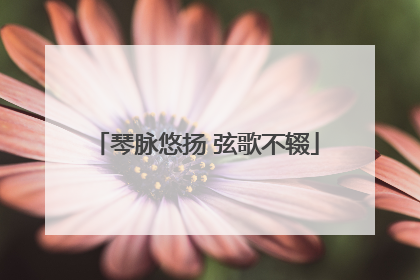 琴脉悠扬 弦歌不辍