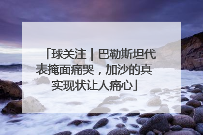 球关注｜巴勒斯坦代表掩面痛哭，加沙的真实现状让人痛心