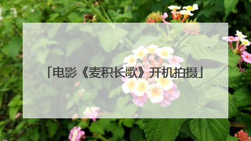 电影《麦积长歌》开机拍摄
