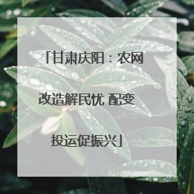 甘肃庆阳：农网改造解民忧 配变投运促振兴