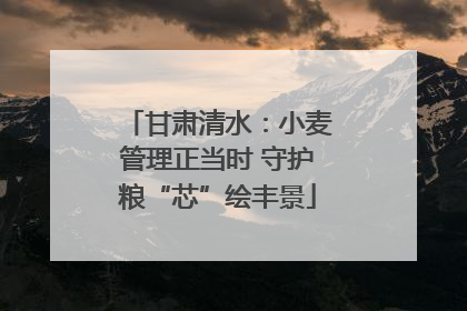 甘肃清水：小麦管理正当时 守护粮“芯”绘丰景