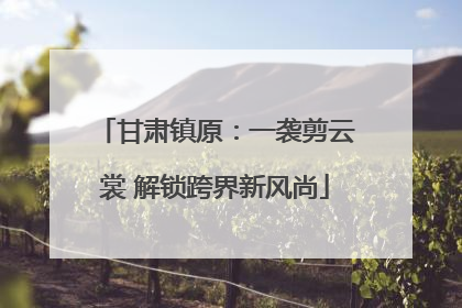 甘肃镇原：一袭剪云裳 解锁跨界新风尚