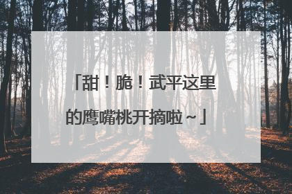 甜！脆！武平这里的鹰嘴桃开摘啦～