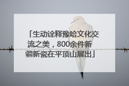 生动诠释豫哈文化交流之美，800余件新疆新瓷在平顶山展出