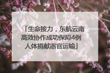 生命接力，东航云南高效协作成功保障4例人体捐献器官运输
