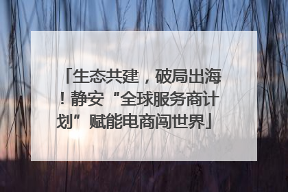 生态共建，破局出海！静安“全球服务商计划”赋能电商闯世界