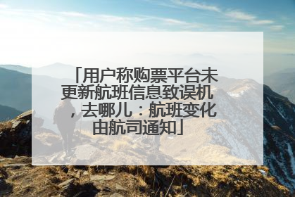 用户称购票平台未更新航班信息致误机，去哪儿：航班变化由航司通知