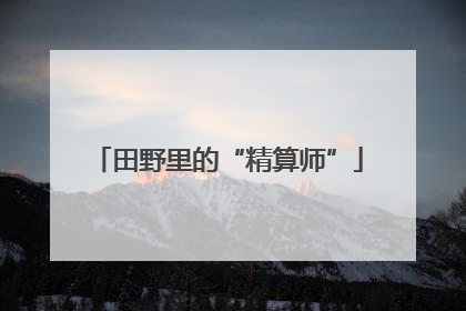 田野里的“精算师”