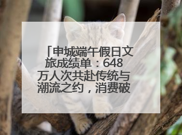 申城端午假日文旅成绩单：648万人次共赴传统与潮流之约，消费破124亿元