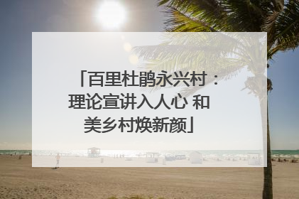 百里杜鹃永兴村：理论宣讲入人心 和美乡村焕新颜