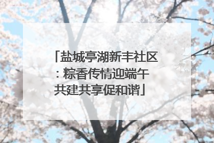 盐城亭湖新丰社区：粽香传情迎端午 共建共享促和谐