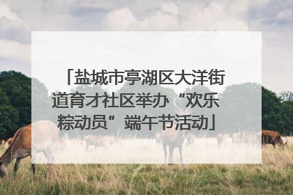 盐城市亭湖区大洋街道育才社区举办“欢乐粽动员”端午节活动