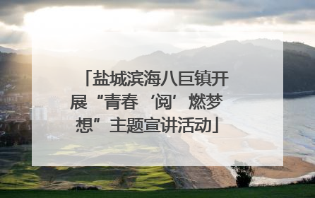 盐城滨海八巨镇开展“青春‘阅’燃梦想”主题宣讲活动