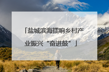 盐城滨海擂响乡村产业振兴“奋进鼓”