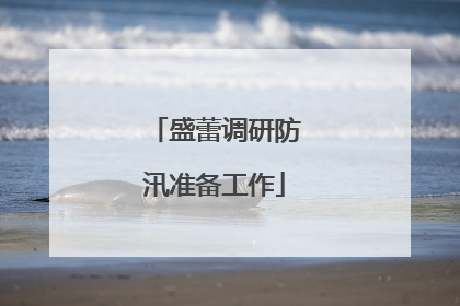 盛蕾调研防汛准备工作