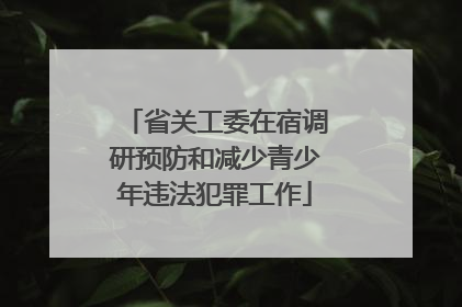 省关工委在宿调研预防和减少青少年违法犯罪工作