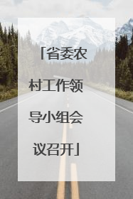 省委农村工作领导小组会议召开