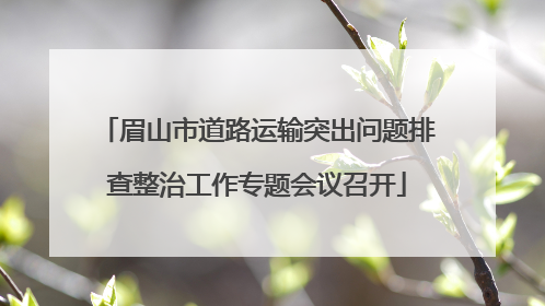 眉山市道路运输突出问题排查整治工作专题会议召开