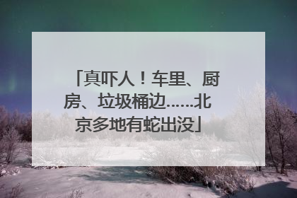 真吓人！车里、厨房、垃圾桶边……北京多地有蛇出没
