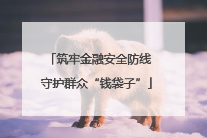 筑牢金融安全防线 守护群众“钱袋子”
