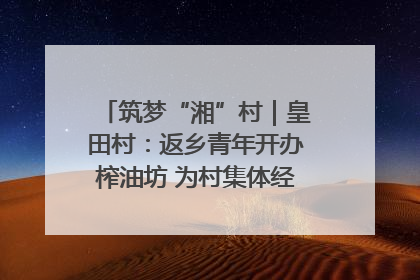 筑梦“湘”村｜皇田村：返乡青年开办榨油坊 为村集体经济“加油”
