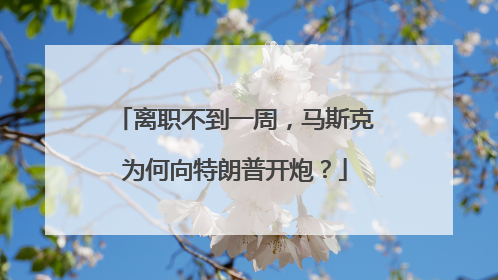 离职不到一周，马斯克为何向特朗普开炮？
