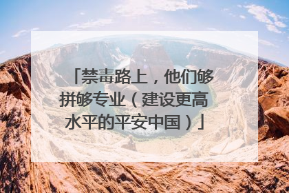 禁毒路上，他们够拼够专业（建设更高水平的平安中国）