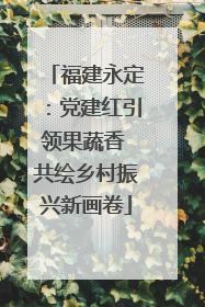 福建永定：党建红引领果蔬香 共绘乡村振兴新画卷