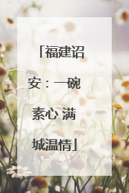 福建诏安：一碗素心 满城温情