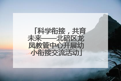 科学衔接，共育未来——北碚区龙凤教管中心开展幼小衔接交流活动