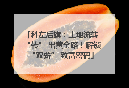 科左后旗：土地流转 “转” 出黄金路！解锁 “双薪” 致富密码
