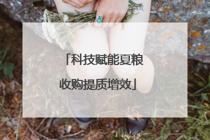 科技赋能夏粮收购提质增效