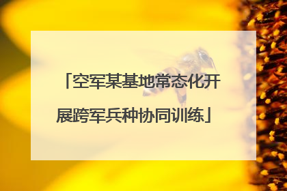 空军某基地常态化开展跨军兵种协同训练